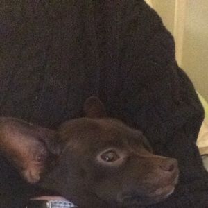 Meet your Posher, Lydia